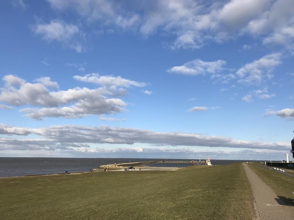 المظهر الخارجي