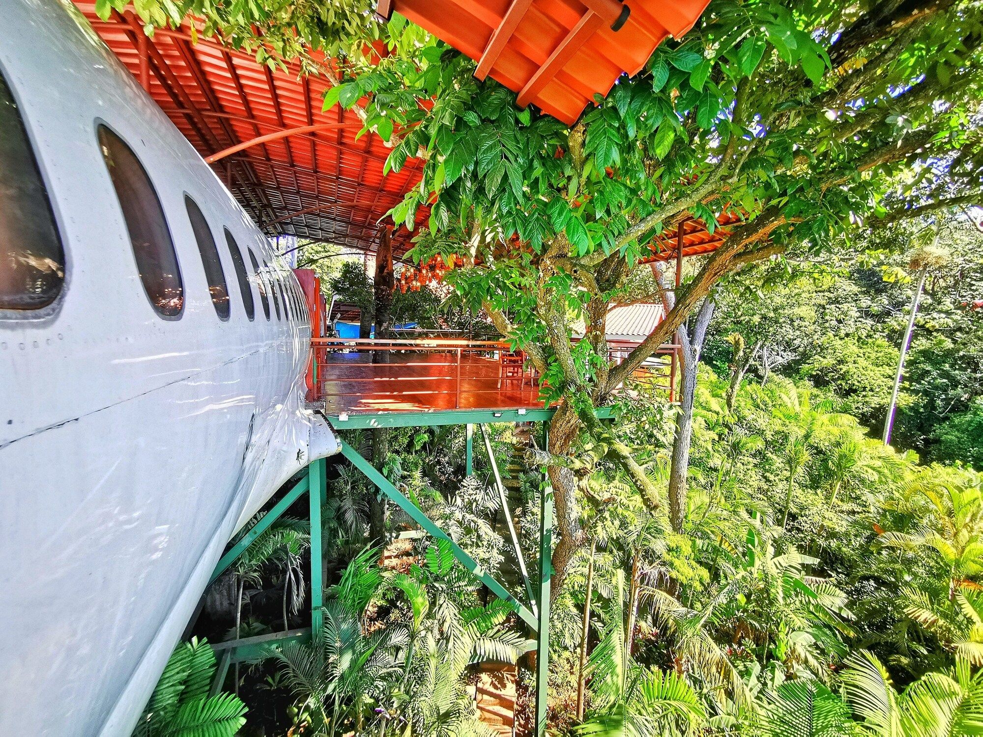 المظهر الخارجي