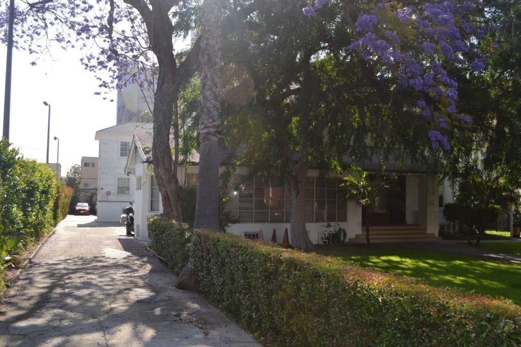 المظهر الخارجي