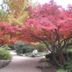 المظهر الخارجي