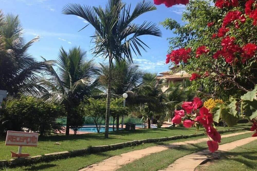 المظهر الخارجي