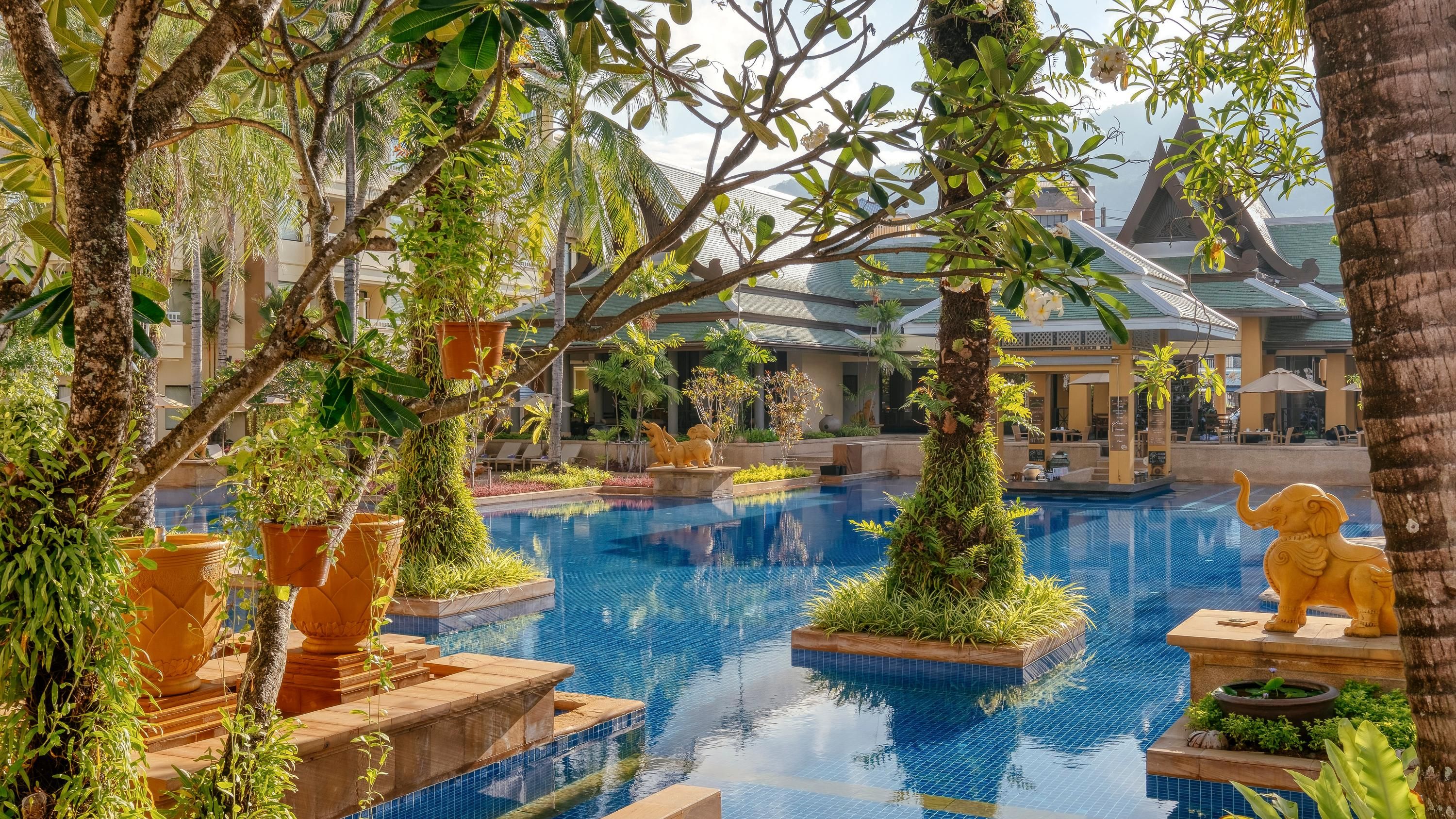 حوض السباحة