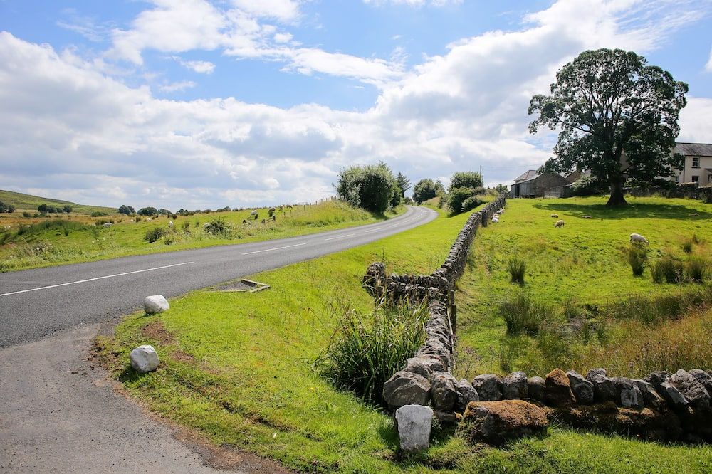 المظهر الخارجي