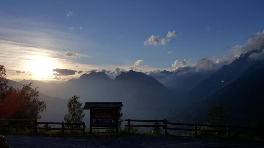 المظهر الخارجي