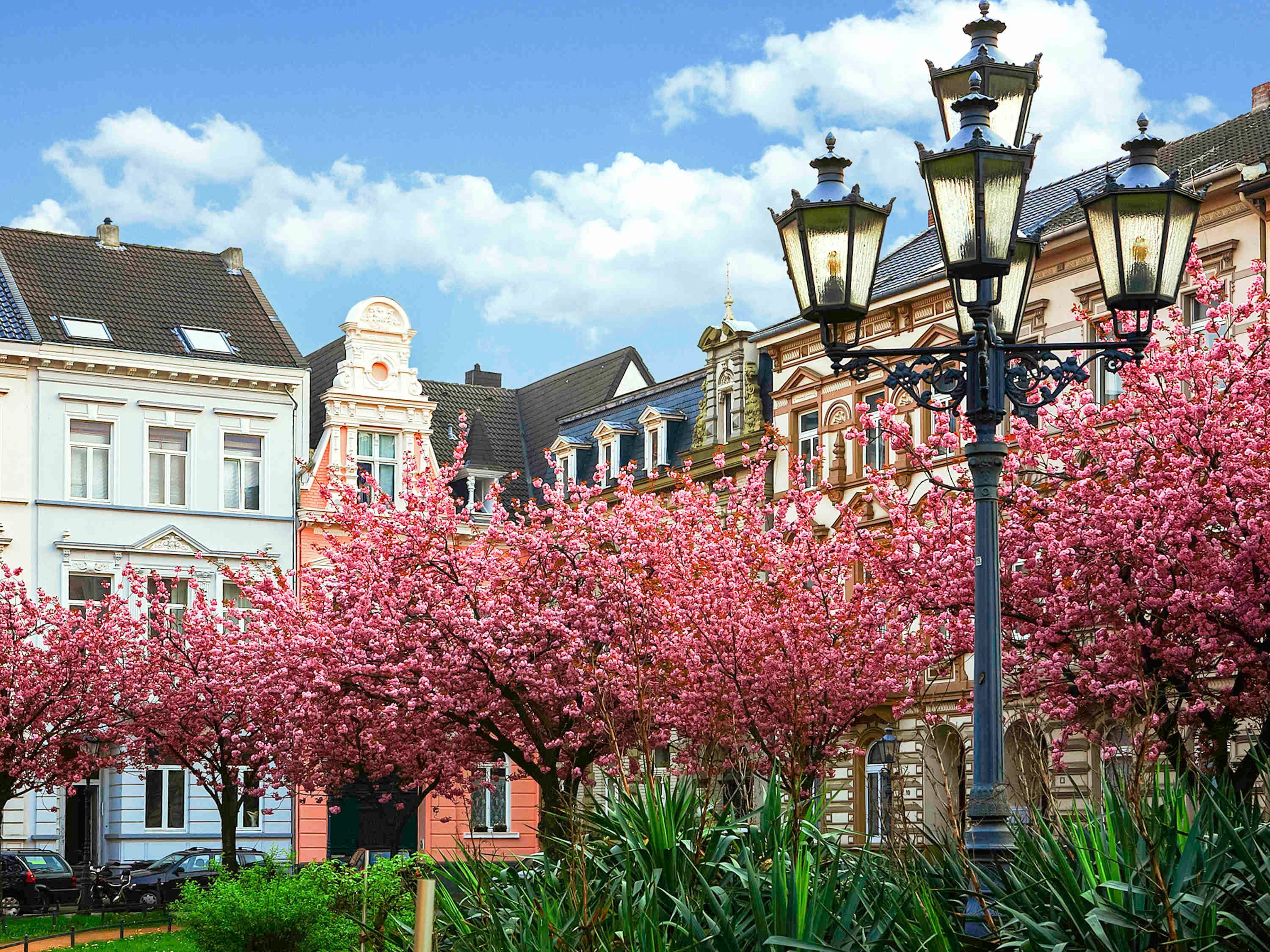 المظهر الخارجي