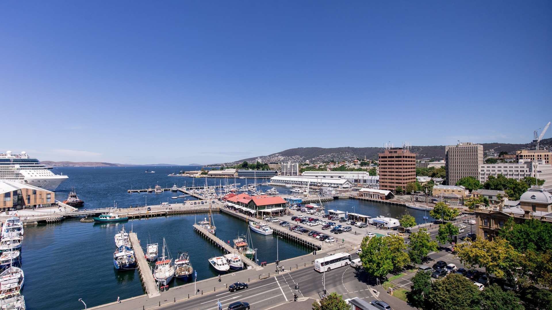 المظهر الخارجي