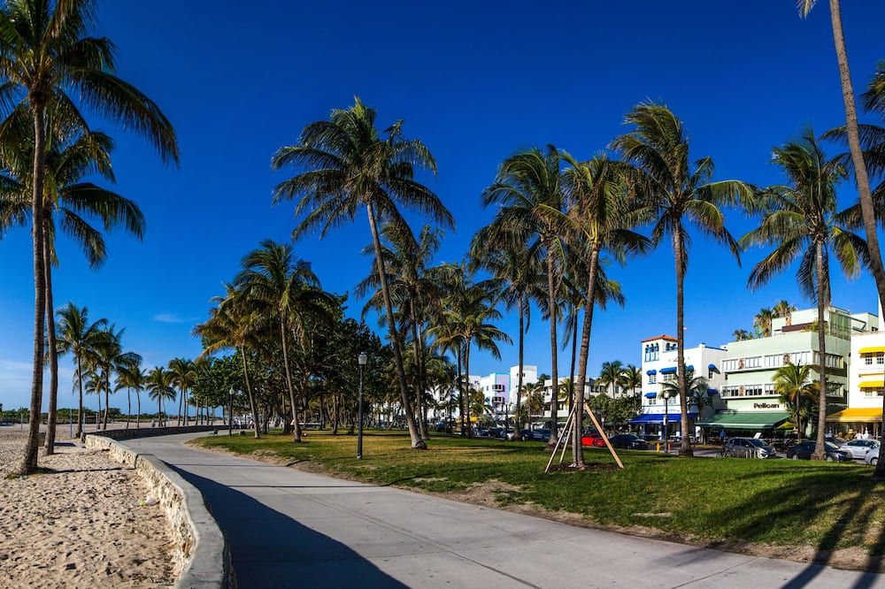 المظهر الخارجي