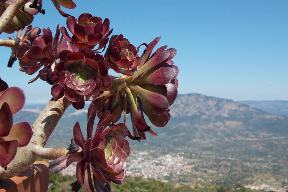المظهر الخارجي