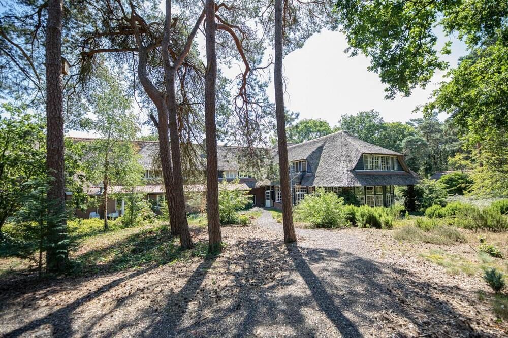 المظهر الخارجي