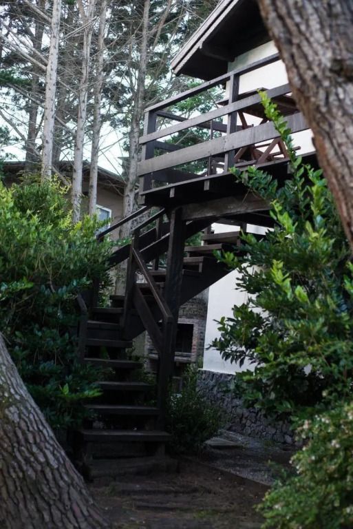 المظهر الخارجي