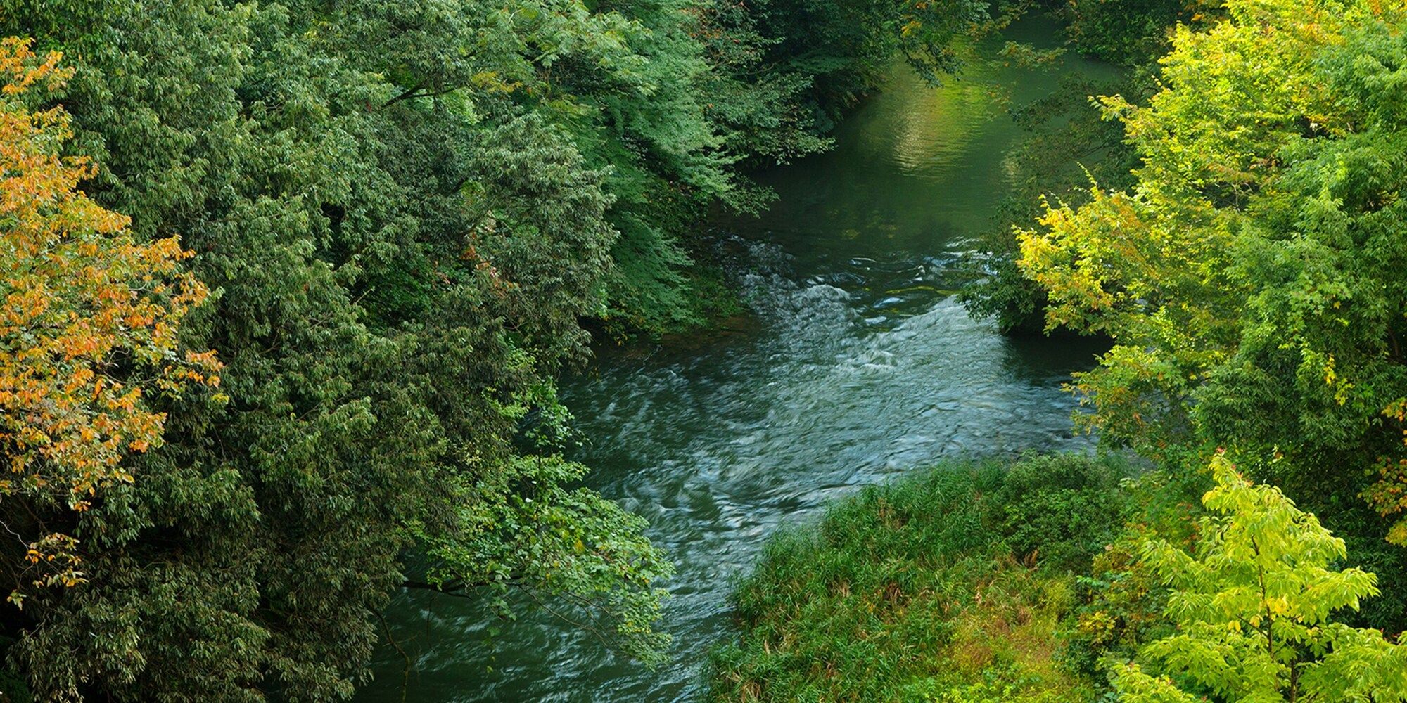 المظهر الخارجي