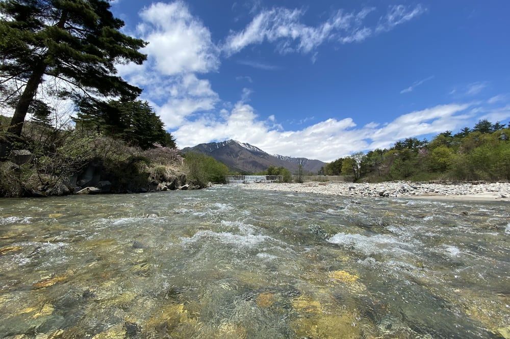 المظهر الخارجي