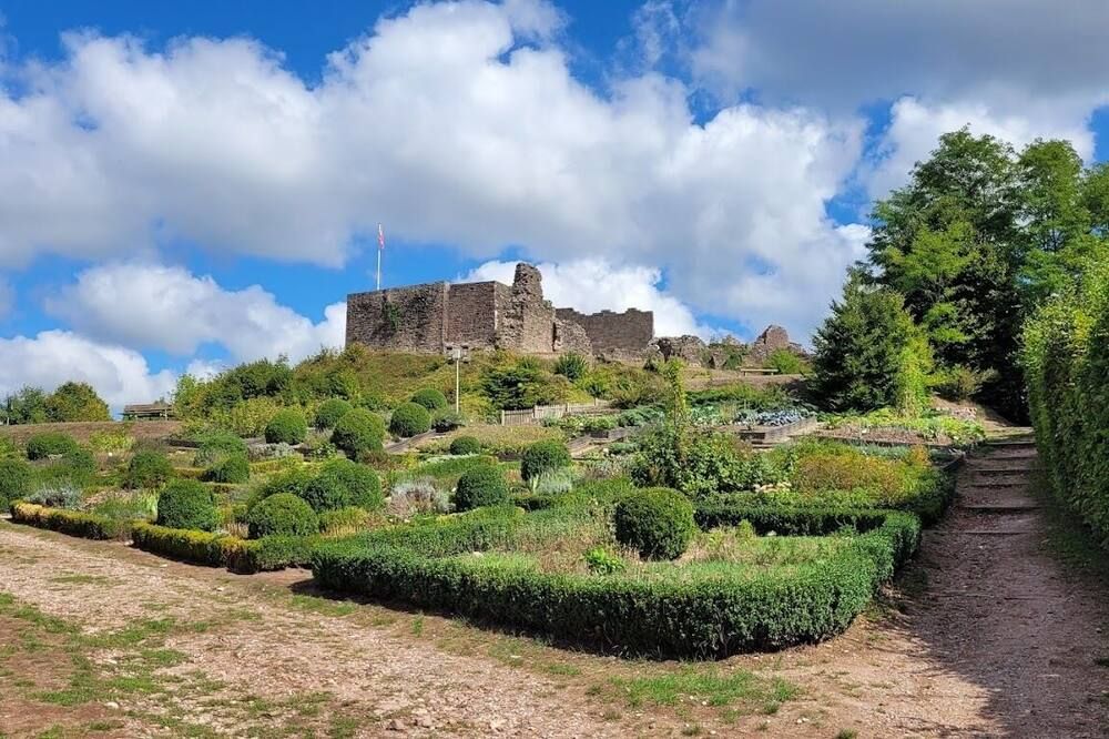 المظهر الخارجي