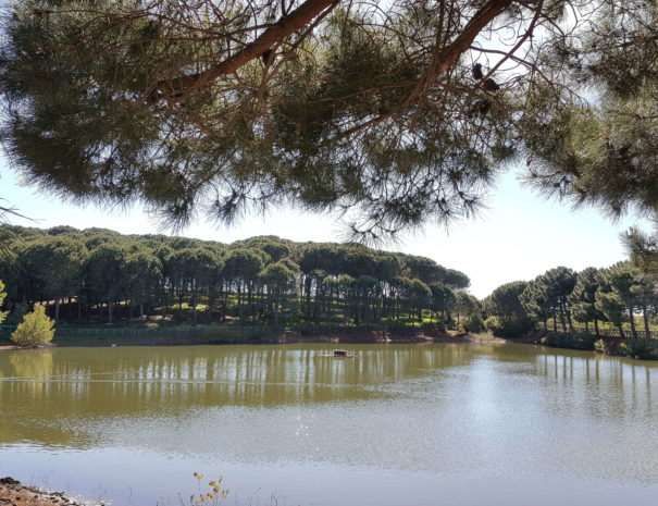 المظهر الخارجي