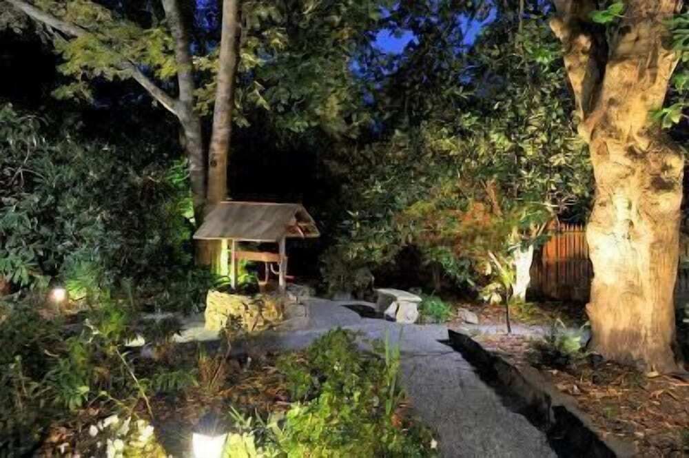 المظهر الخارجي