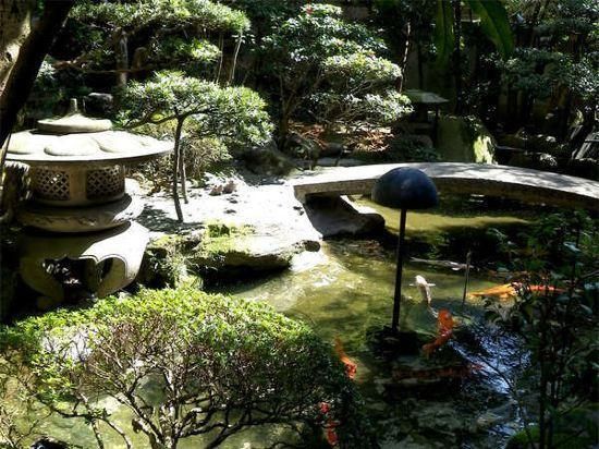 المظهر الخارجي