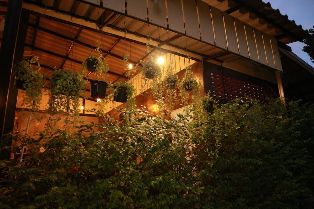 المظهر الخارجي