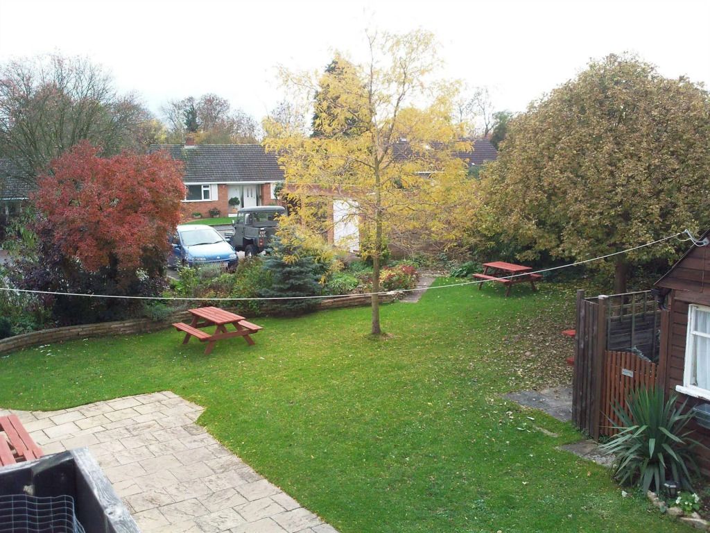 المظهر الخارجي