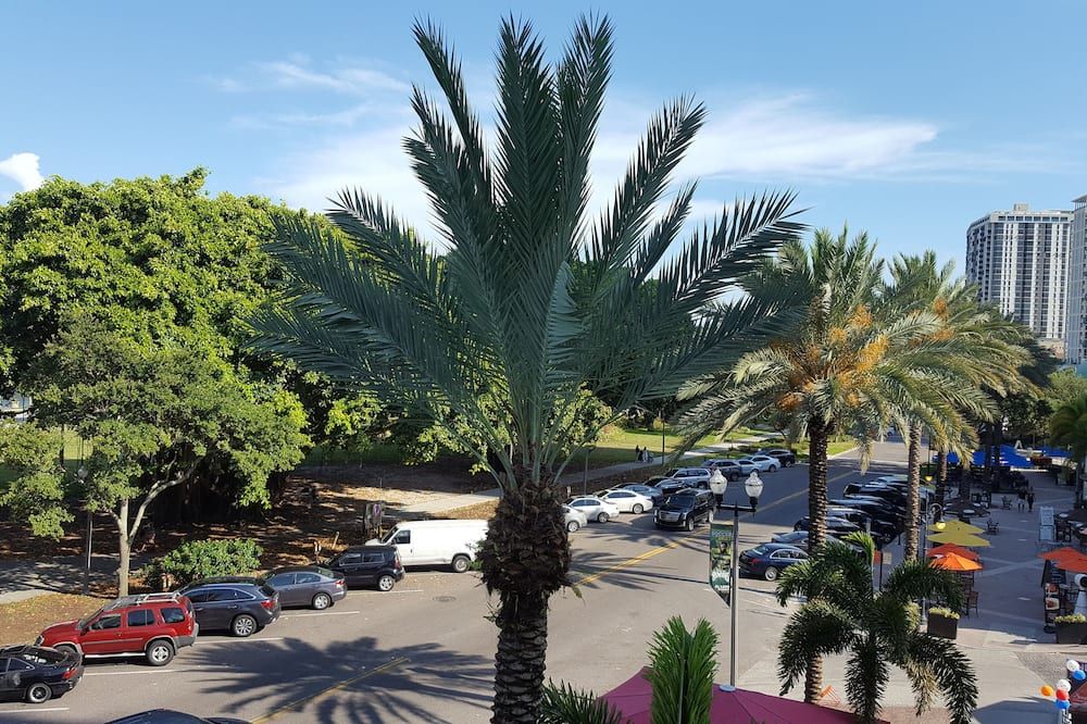 المظهر الخارجي