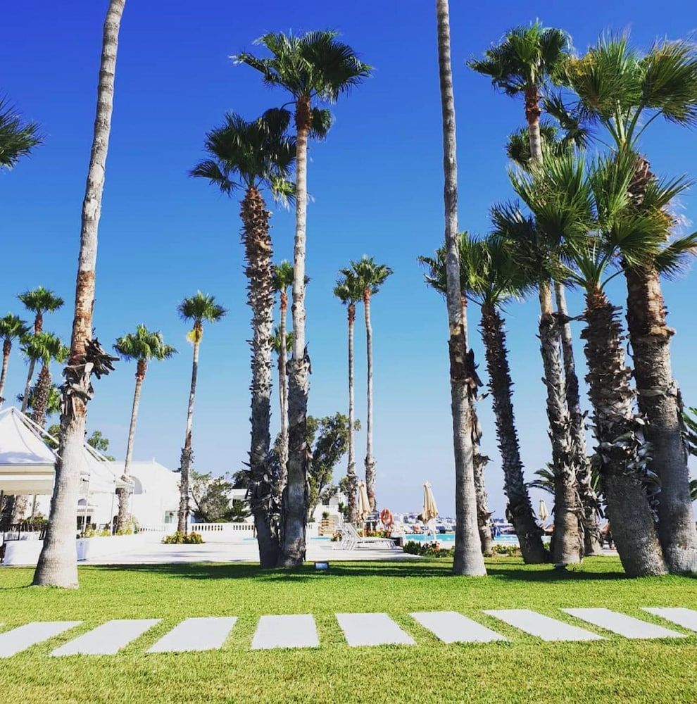 المظهر الخارجي