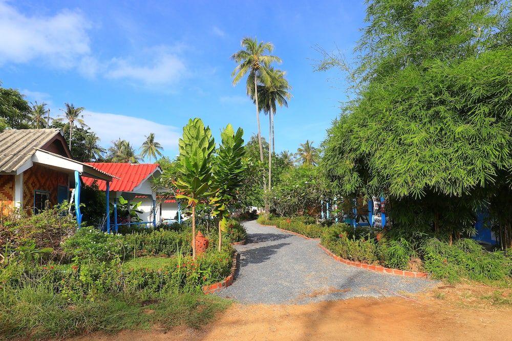 المظهر الخارجي