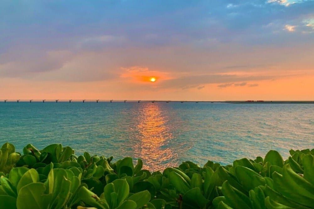 المظهر الخارجي