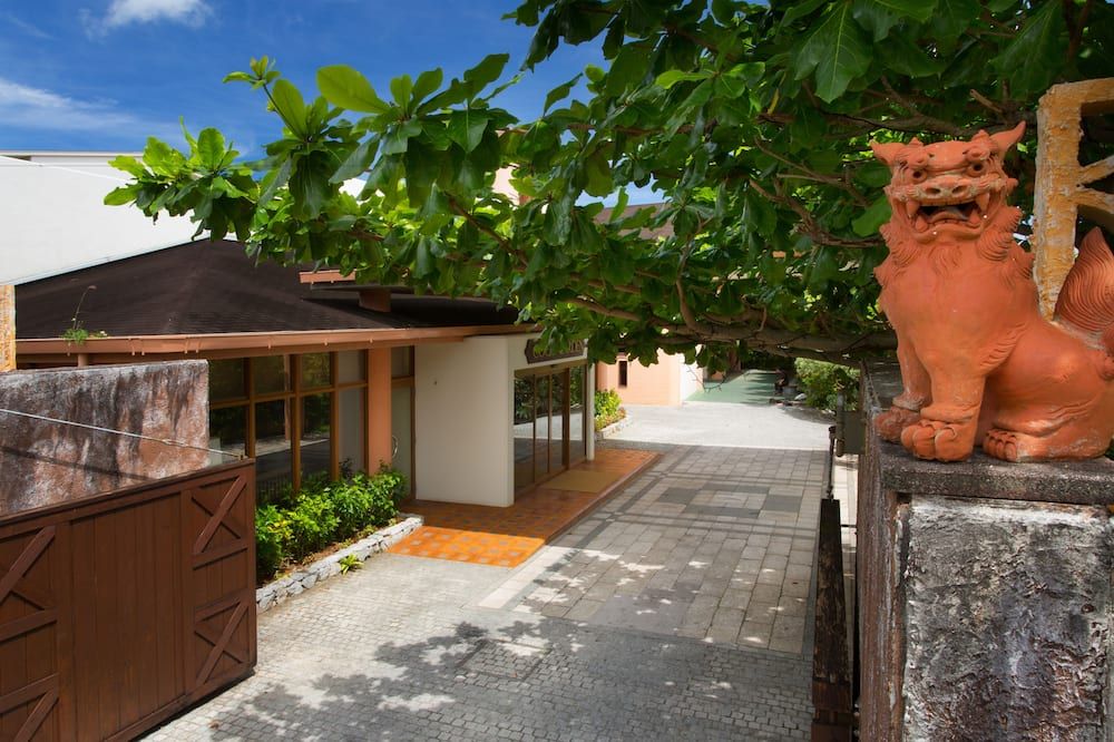 المظهر الخارجي