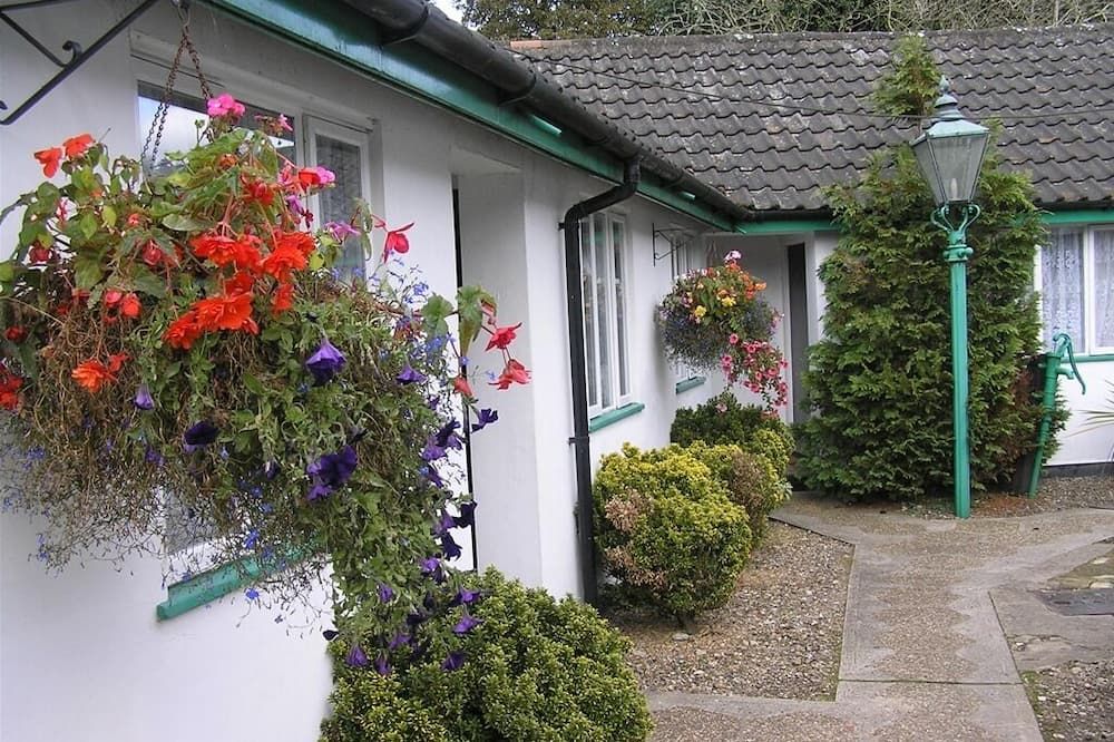 المظهر الخارجي