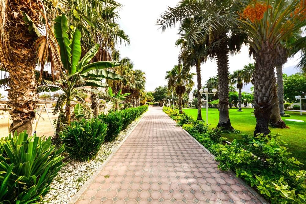 المظهر الخارجي
