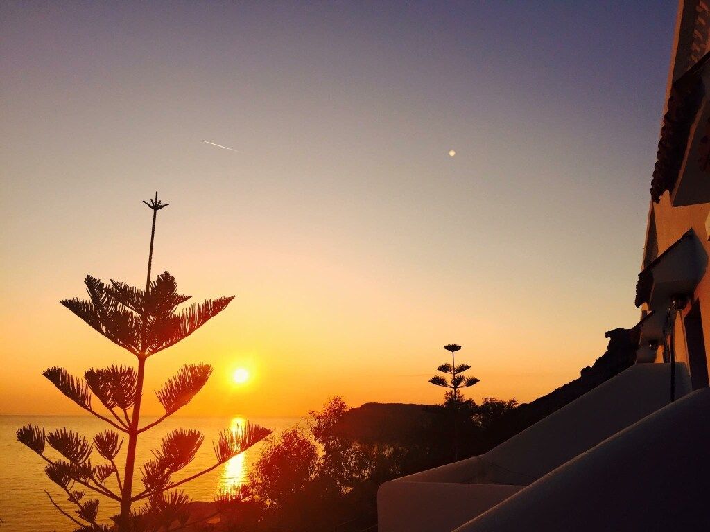 المظهر الخارجي