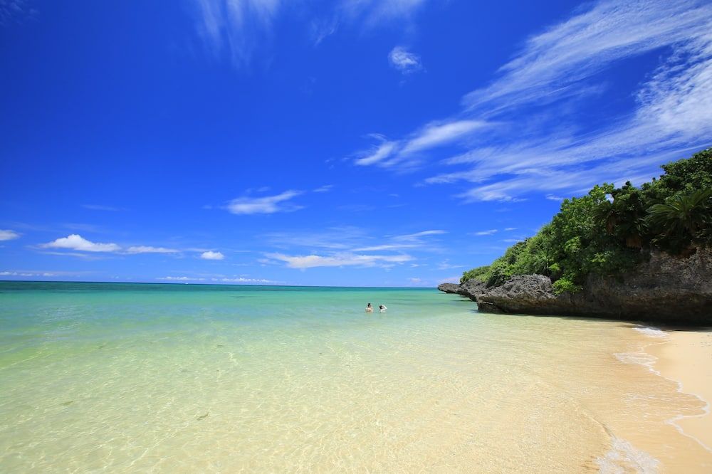 شاطئ صورة