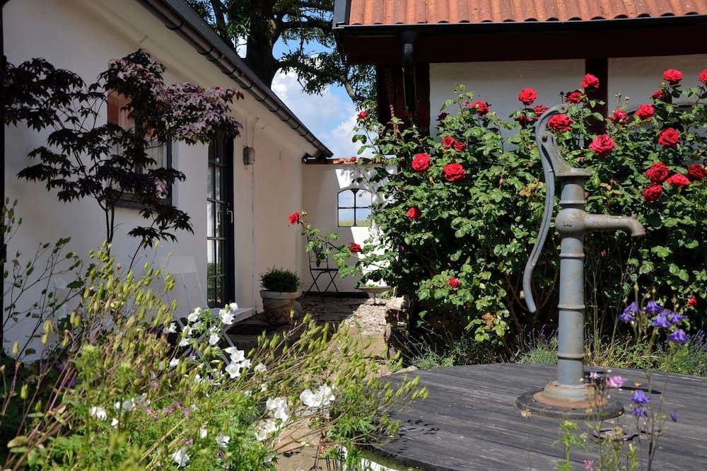 المظهر الخارجي