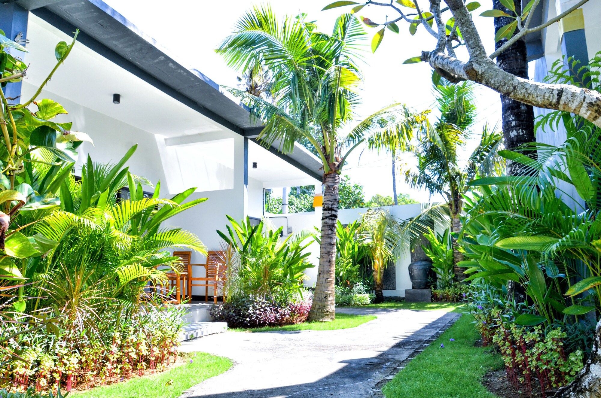 المظهر الخارجي