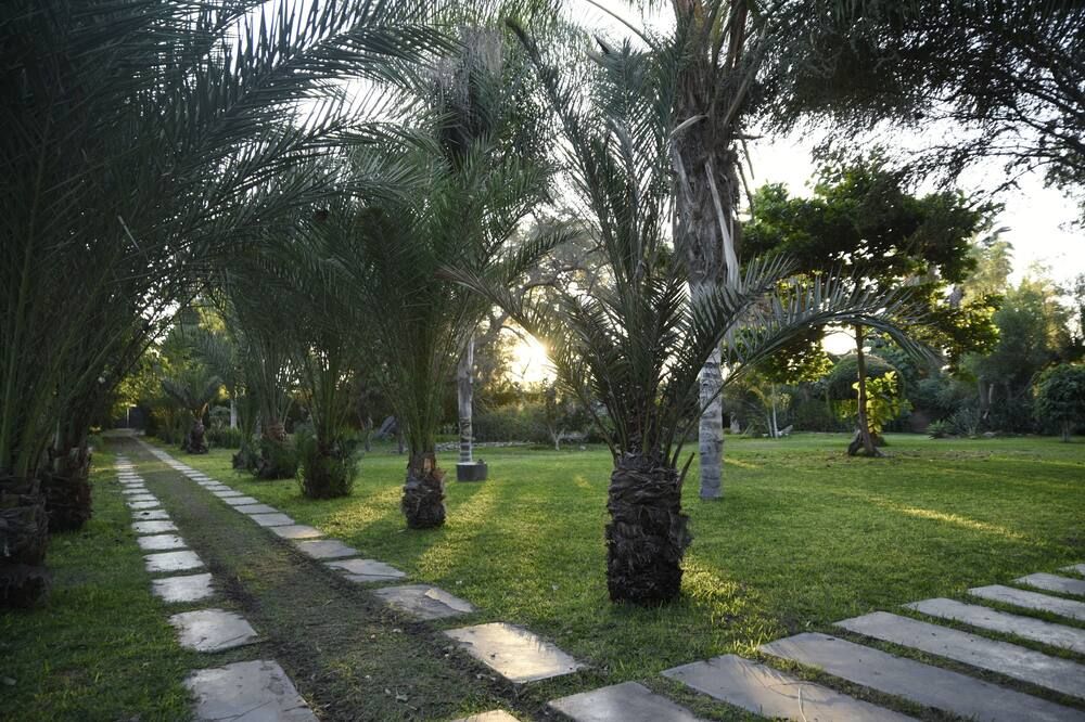 المظهر الخارجي