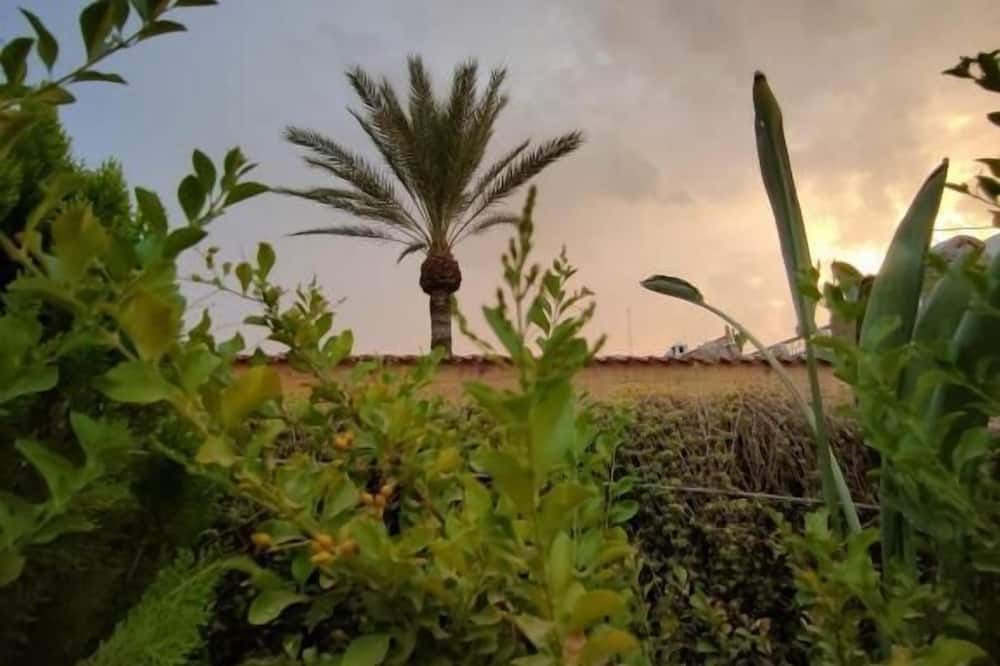 المظهر الخارجي