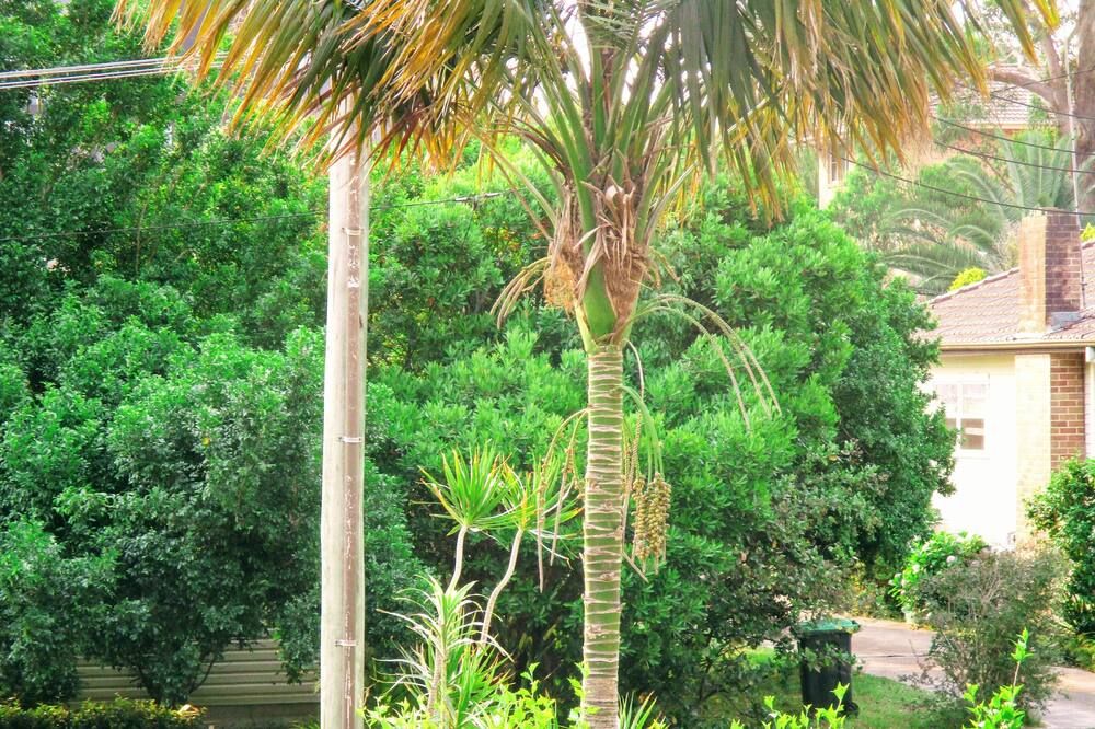 المظهر الخارجي