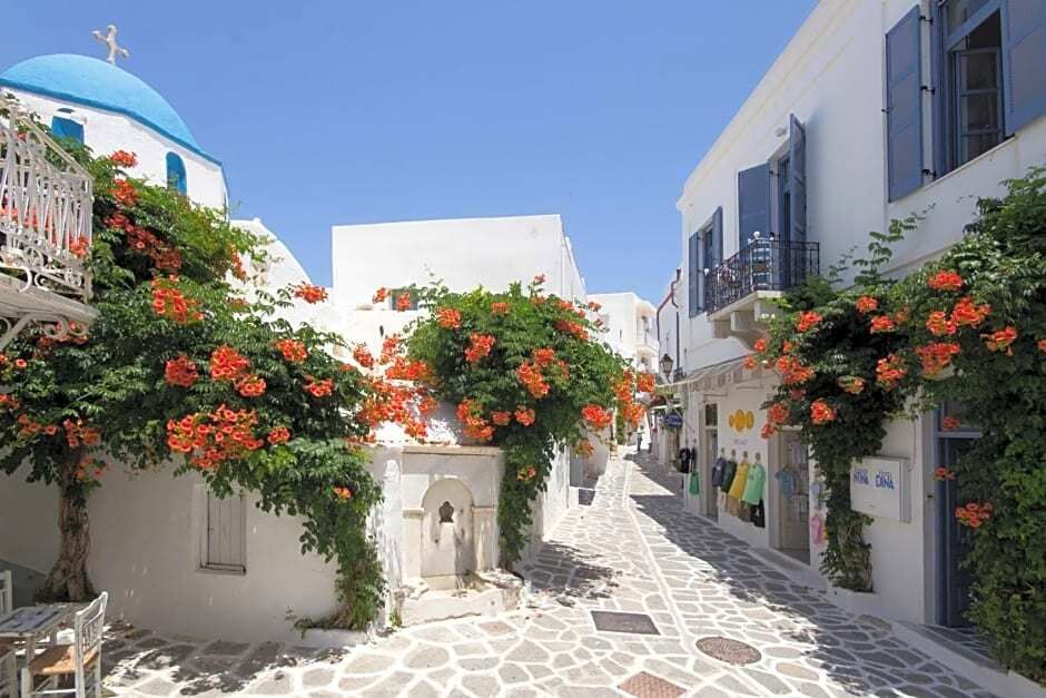 المظهر الخارجي