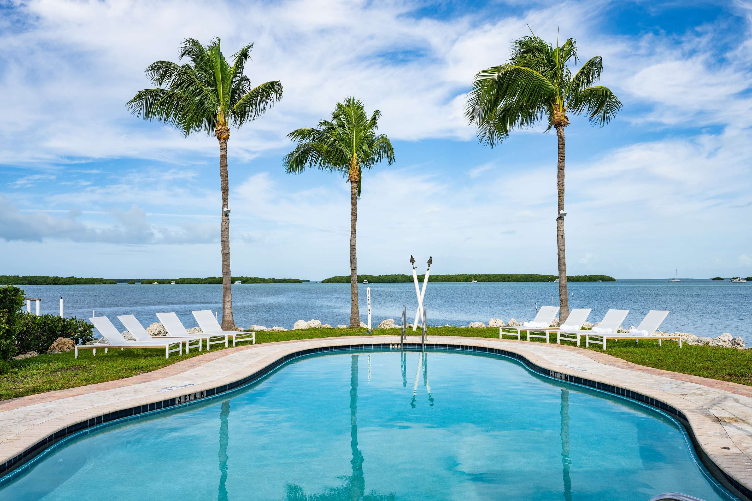 حوض السباحة