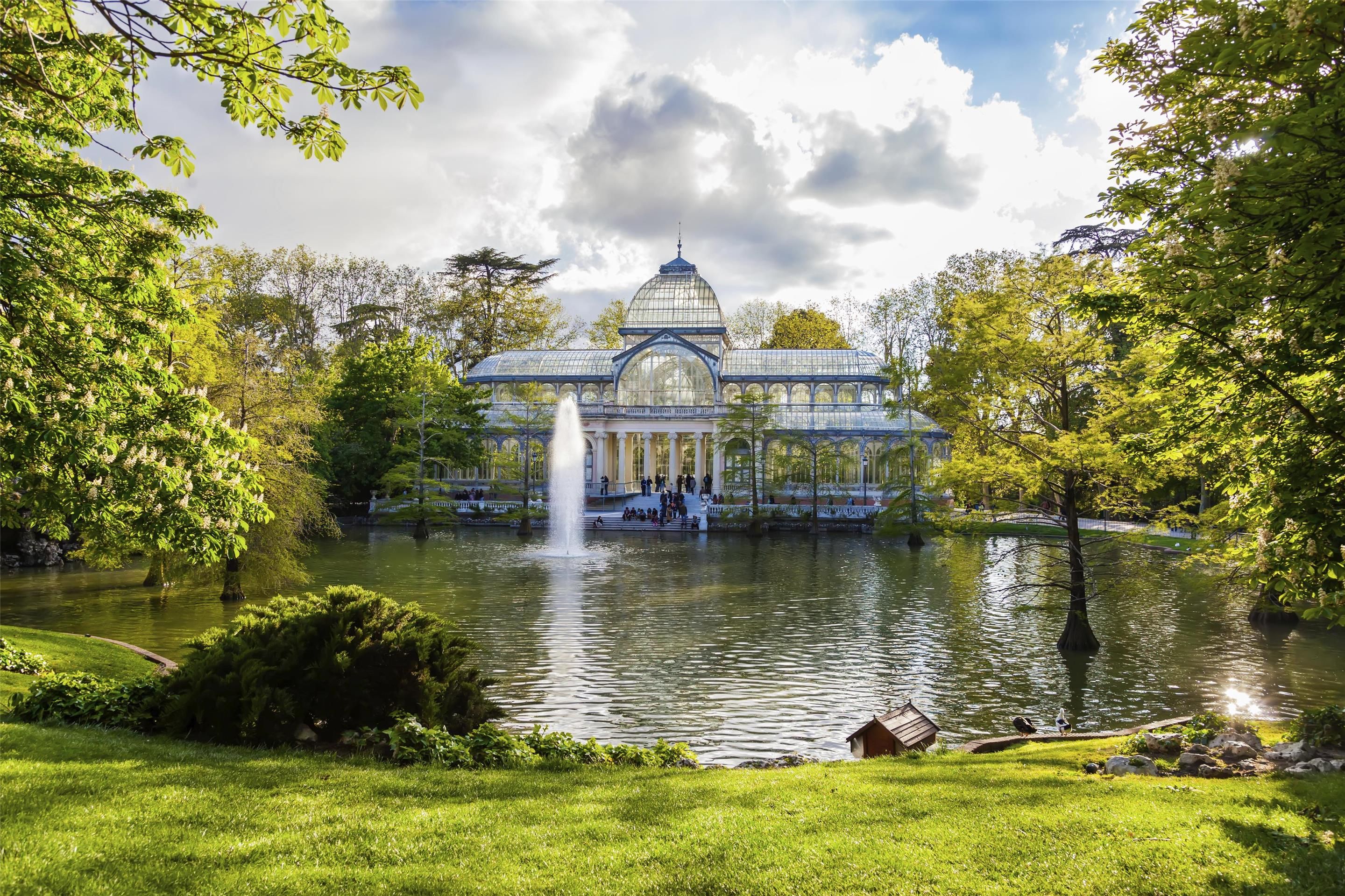 المظهر الخارجي