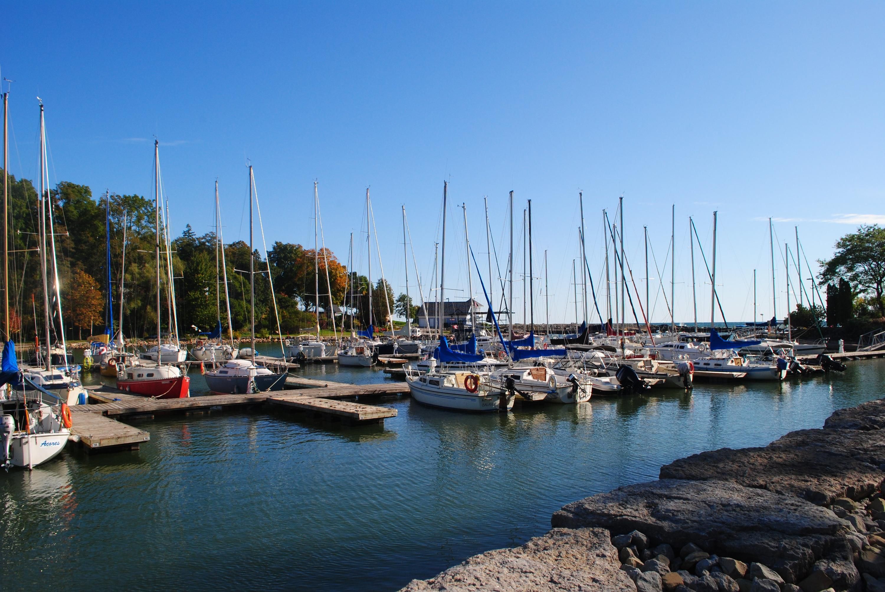 المظهر الخارجي