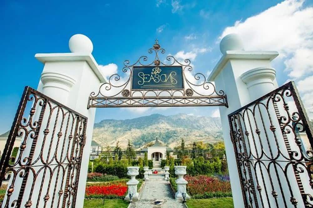 المظهر الخارجي