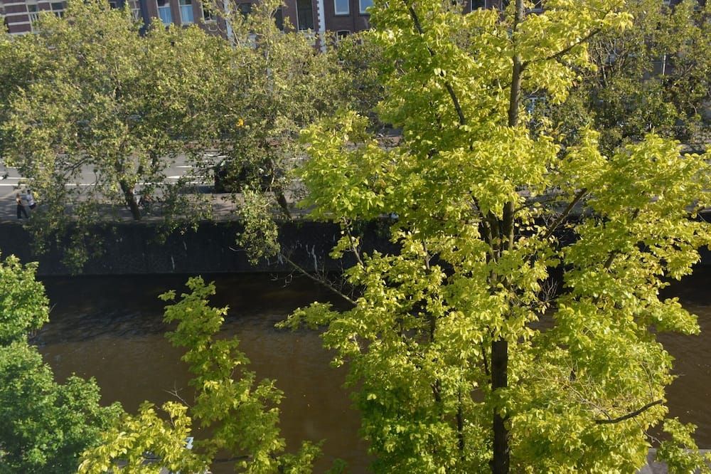 المظهر الخارجي