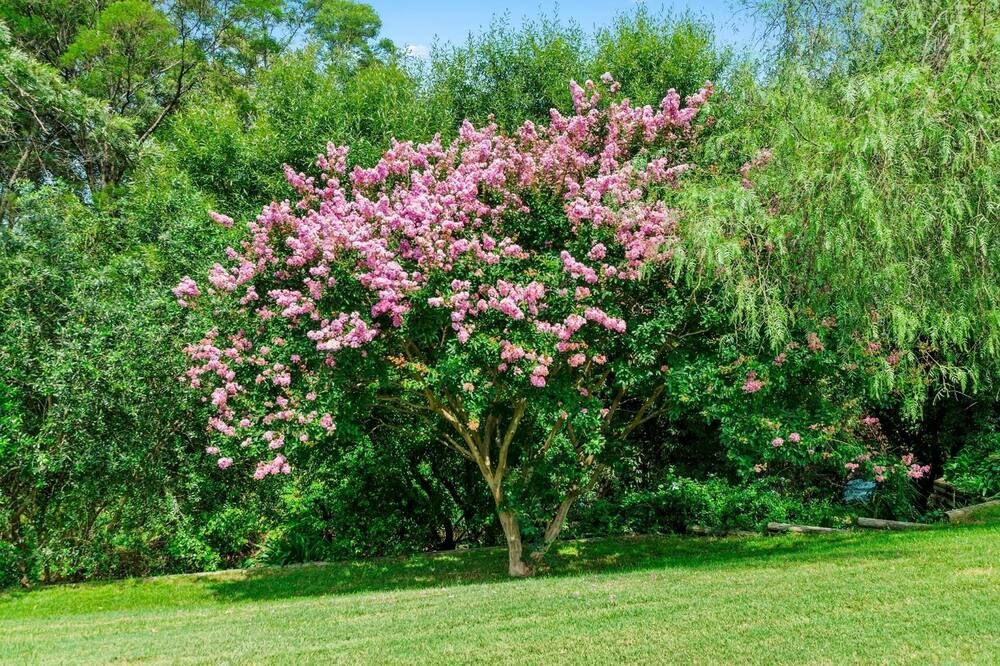المظهر الخارجي