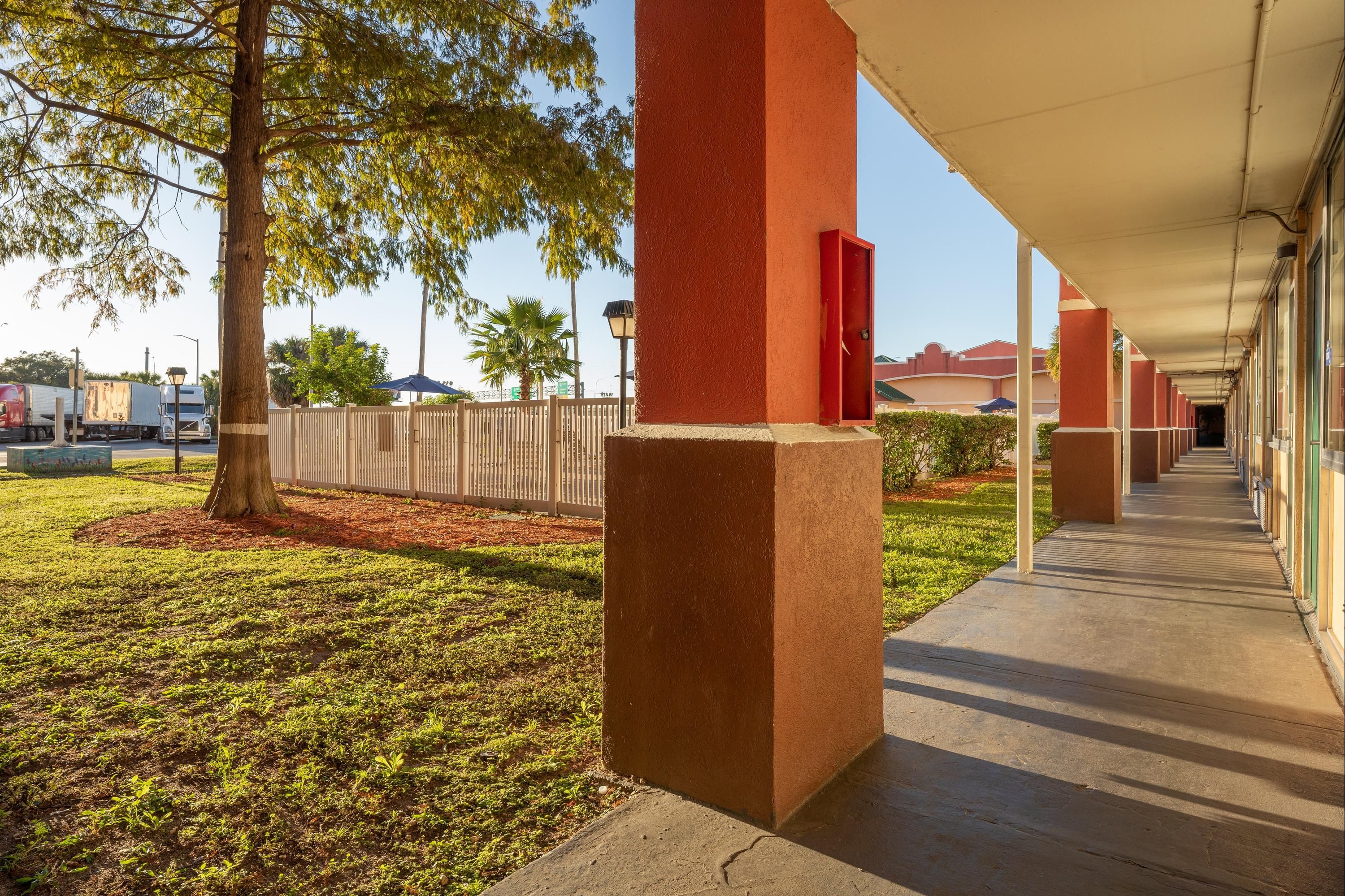 المظهر الخارجي