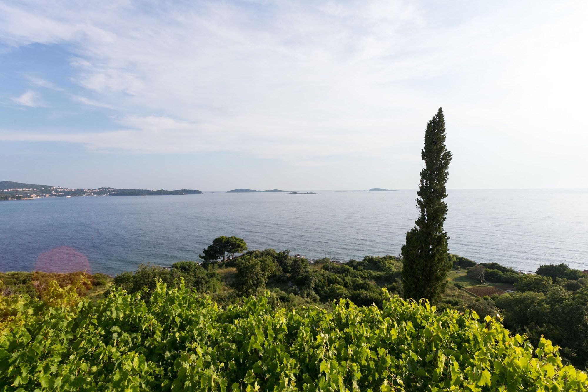 المظهر الخارجي