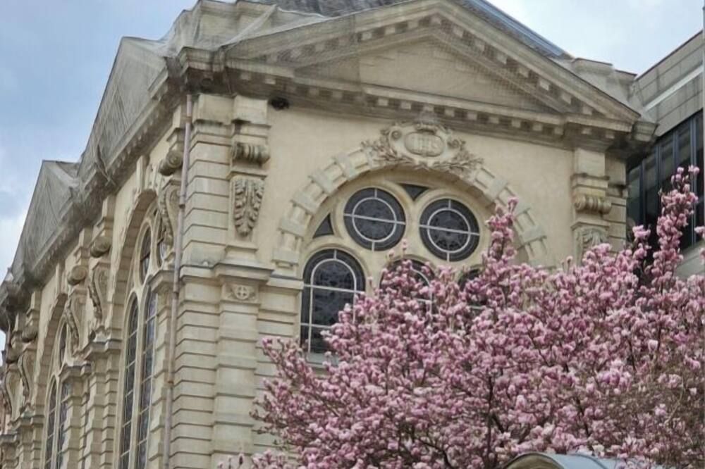 المظهر الخارجي