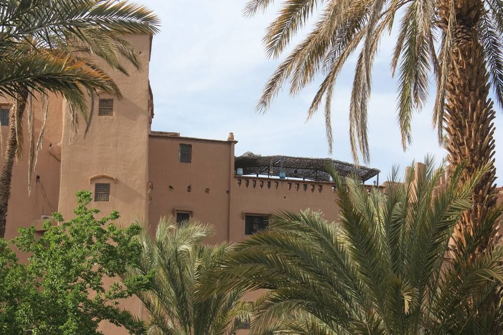 المظهر الخارجي