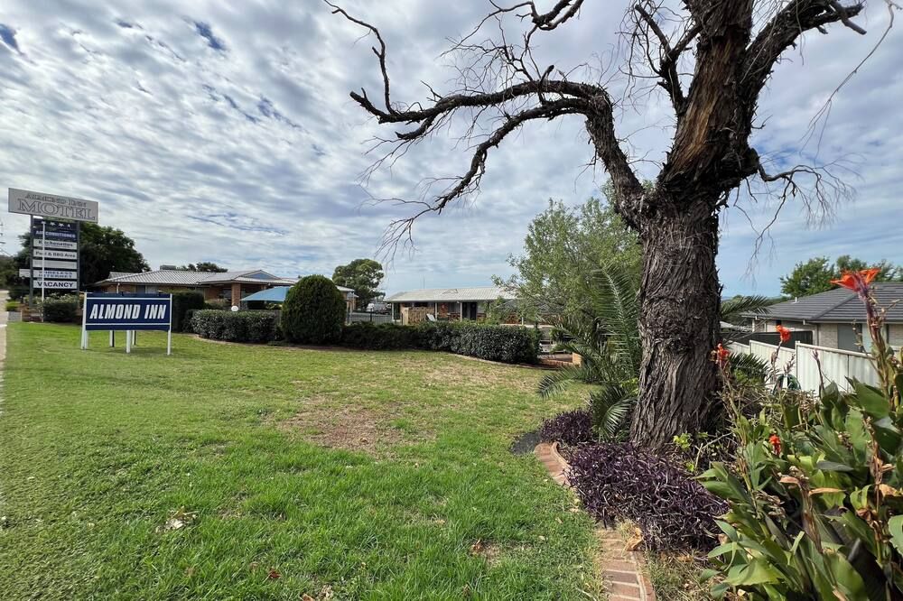 المظهر الخارجي