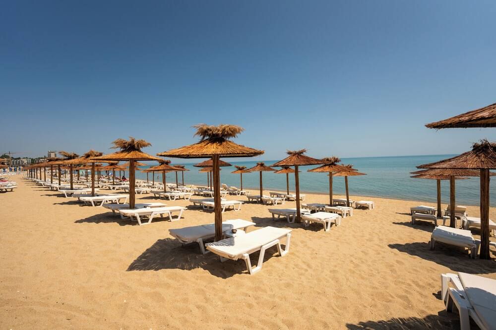 شاطئ صورة