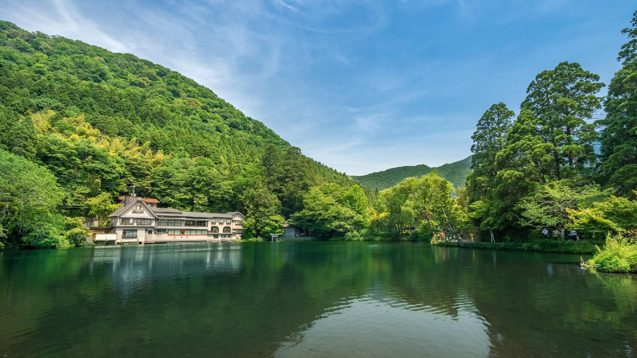 المظهر الخارجي